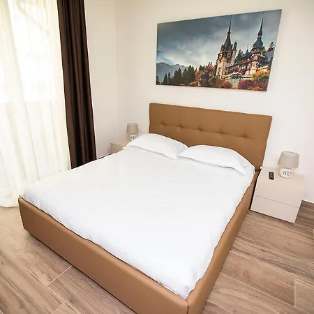 Apartament Covaciu 4*
